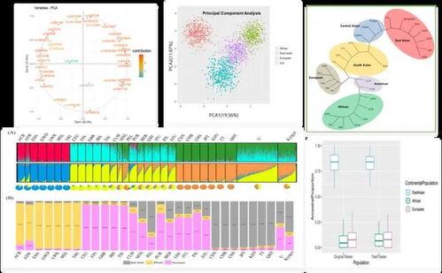 赣州爆料走丢事件视频,视频还原惊心动魄寻人过程  第3张